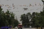 افزایش موقتی غلظت ذرات معلق در هوای پایتخت کشور عزیزمان ایران